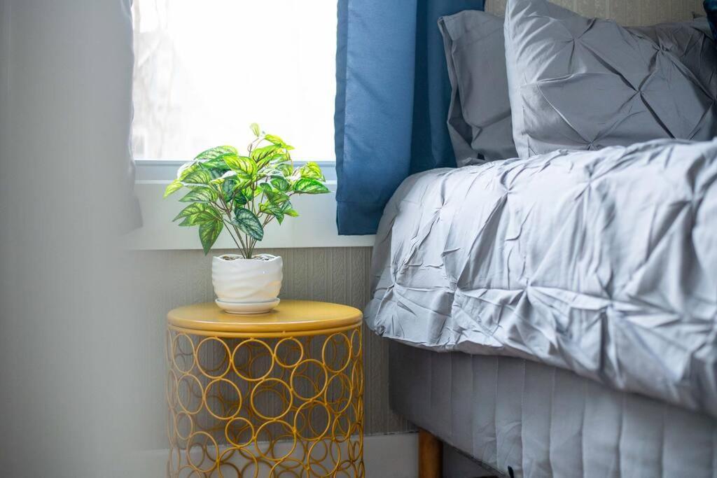 Apartment Retreat-2bd