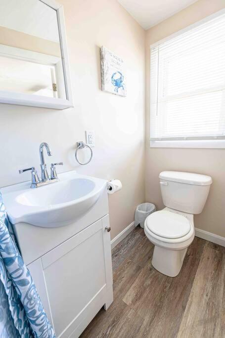 Steps From The Sandy Beach! Seashell Apartment