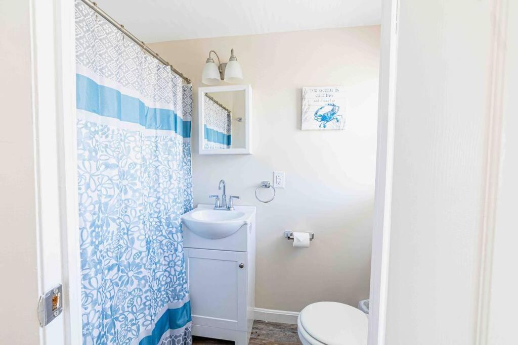 Apartment Steps From The Sandy Beach! Seashell