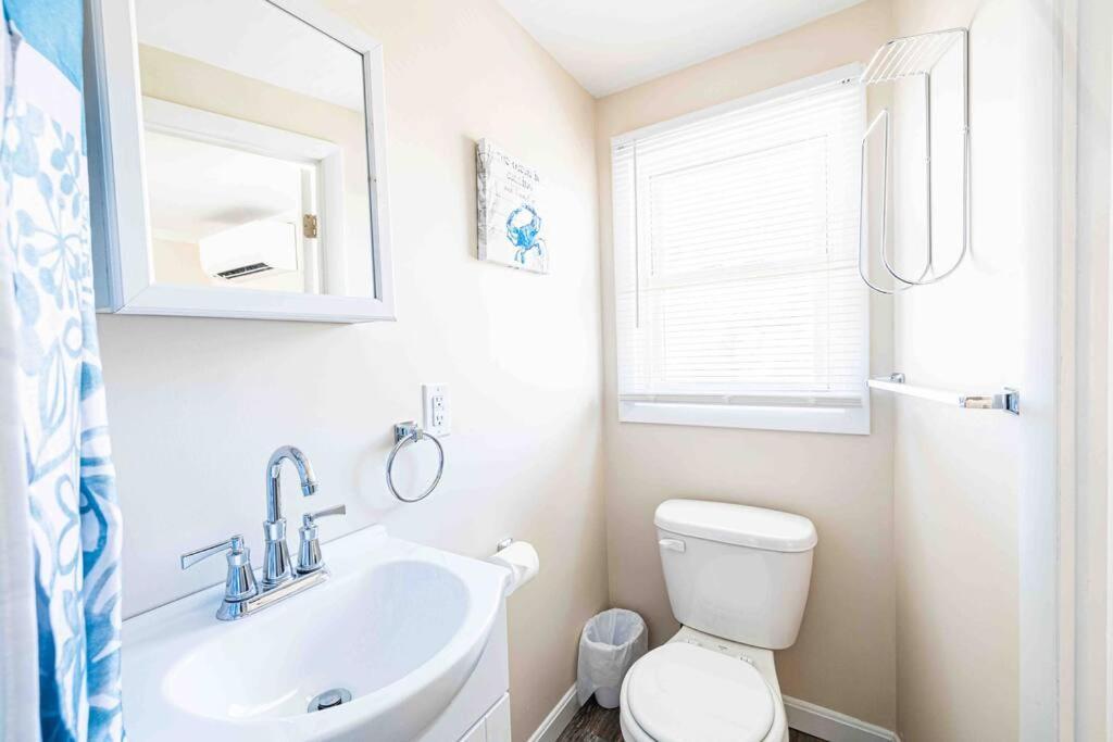 Steps From The Sandy Beach! Seashell Apartment