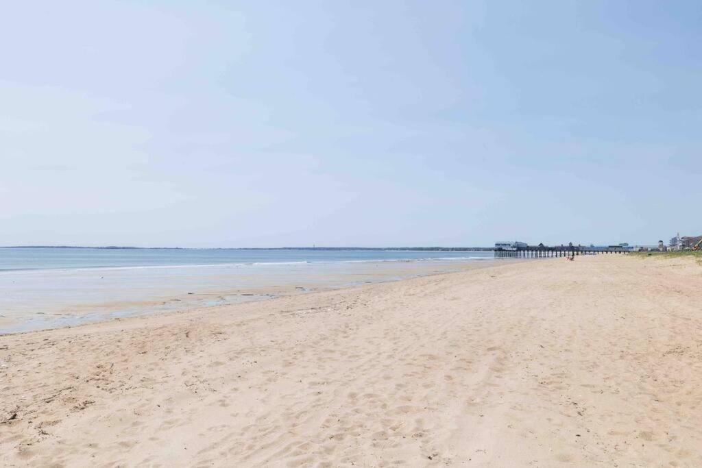 Apartment Steps From The Sandy Beach! Seashell *